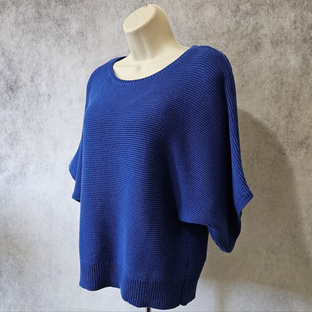 Chaus Knit Pullover Sweater with Seamless Shoulder - Picture 3 of 8